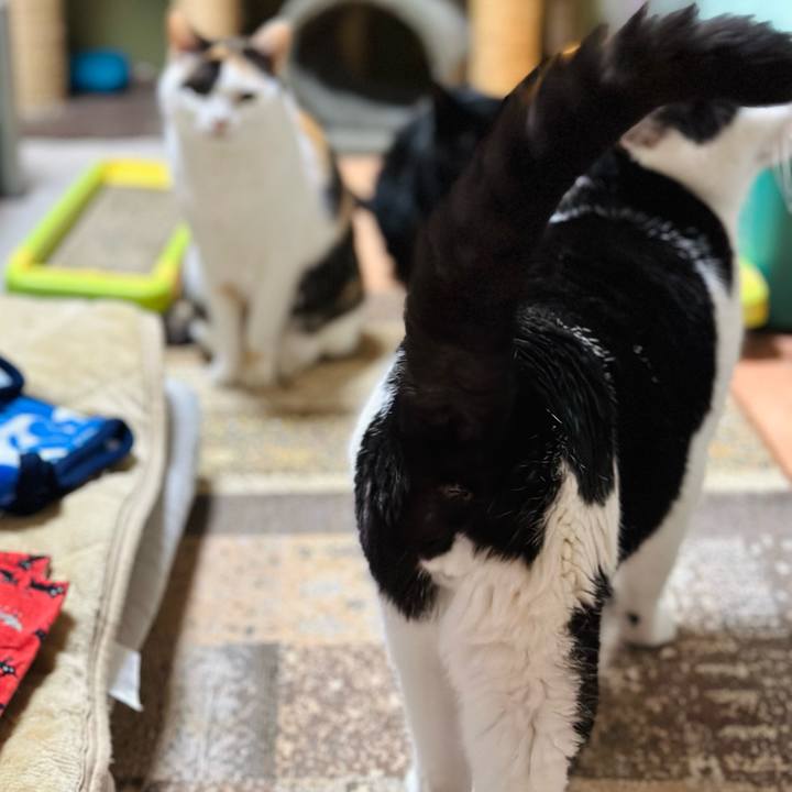 0e167b07 62b6 4885 a736 3a2b80456daf 1705283119918