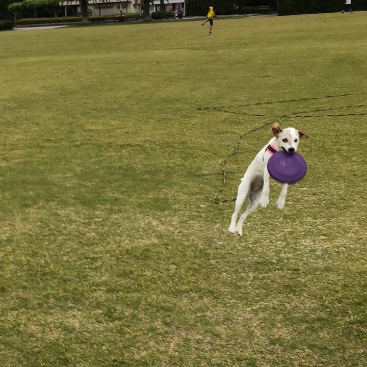 0e168bc9 3048 4d15 b647 5870b5762915 1525601705898