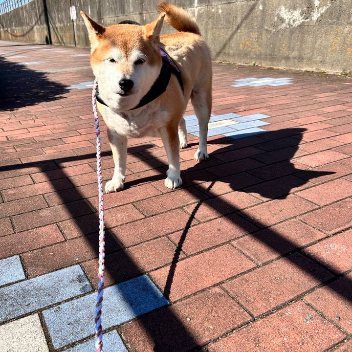 0e172e5a 87dc 41a9 8d2a 75a81f9ea271 1730947249452