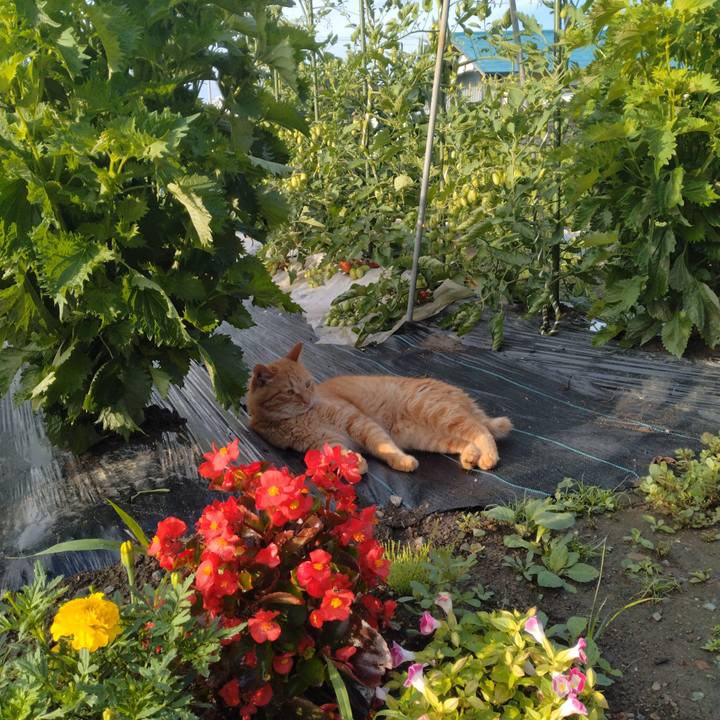 0e174e94 e42c 4c7b 8a56 89b5e0a95773 1689201797476