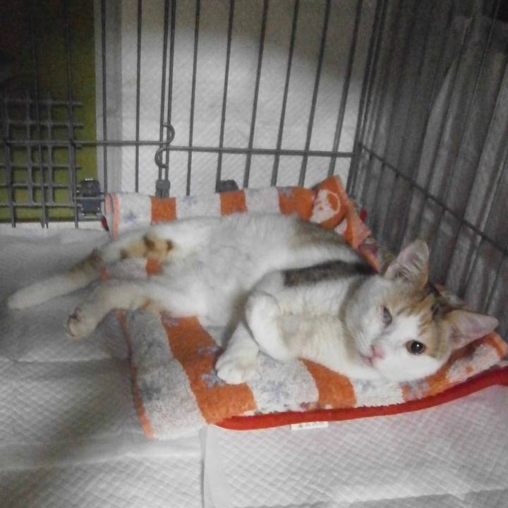 0e176154 2761 4fa6 a990 a4db18b653e9 1604548691296