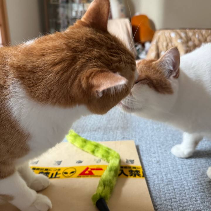 0e177f6d 6e7d 408b 97e6 c879b8f169bf 1768963729032