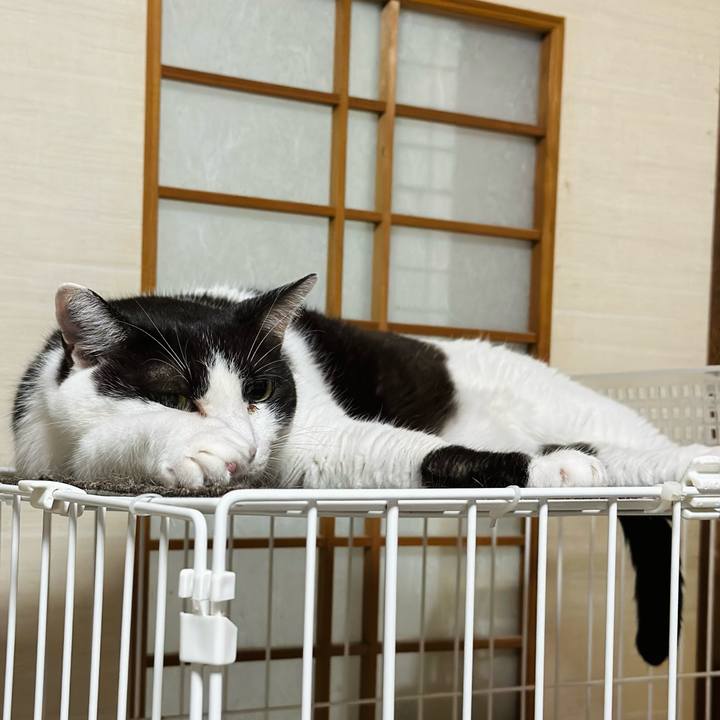 0e1793d0 0cd7 42e1 a723 b00f03881b63 1694567302119