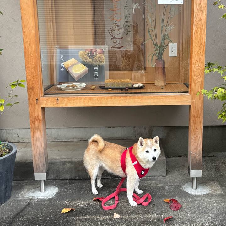 0e17a2ba 2008 4ad4 9400 eb90ac3033c4 1761257884452