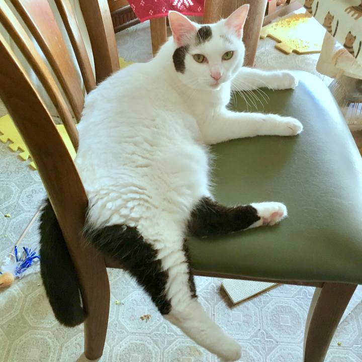 0e17ada5 9b07 458f 92a9 411d5dce0440 1564128648290