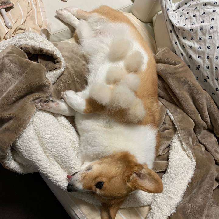 0e17cf48 dca1 470a 8223 b98badf49784 1584074410644