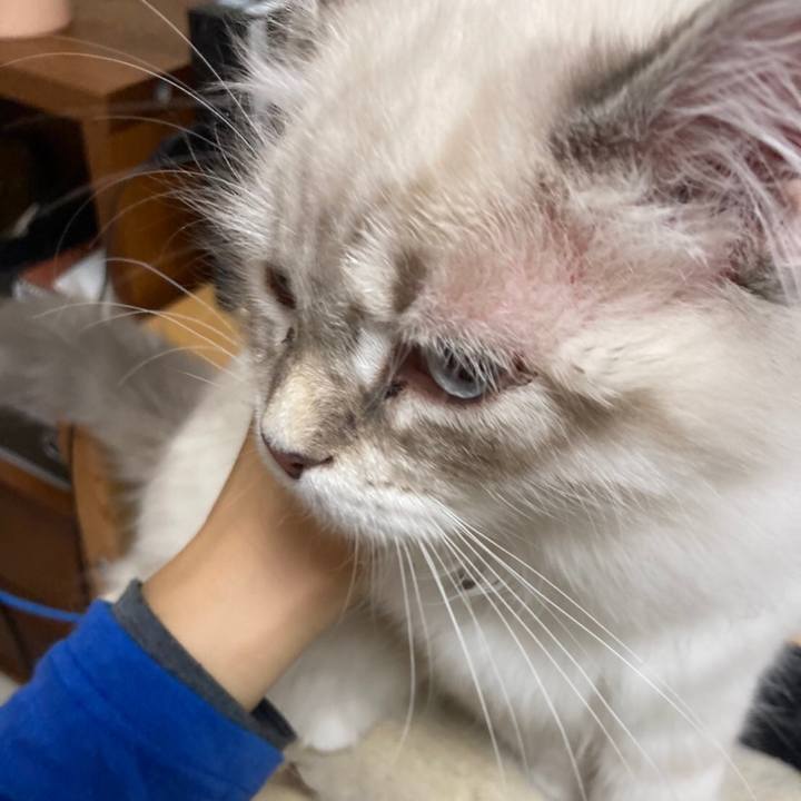 0e181895 4b14 472a 8c3d 25de3af2cda6 1671704955804