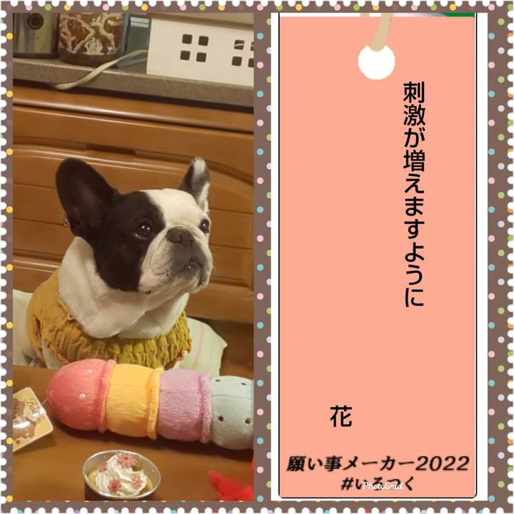 0e1844ab 1b1e 4f30 bb1b 12bc4d651901 1657196242299