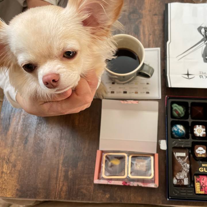 0e18936f 4a47 46a1 bcc6 67a40e4bf87e 1613291181162