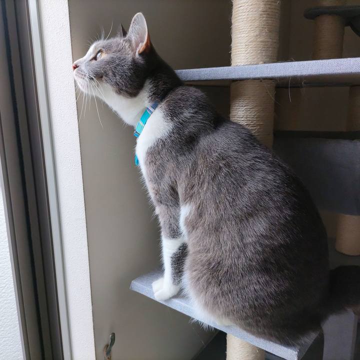 0e1894fe 7f07 4702 b41b 6f2efee4b989 1654569350584