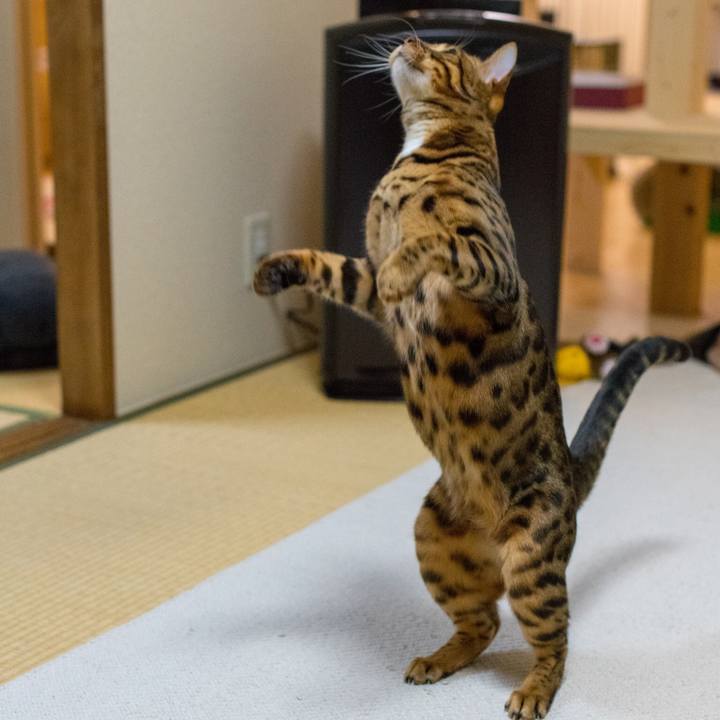 0e18aacf 038e 49ac 9da8 5548775ccf19 1519314959713