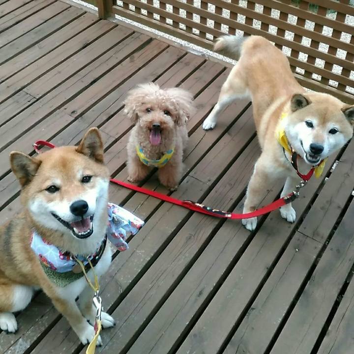 0e18ae31 7e64 4213 84ca 66534f085bc5 1531917273856