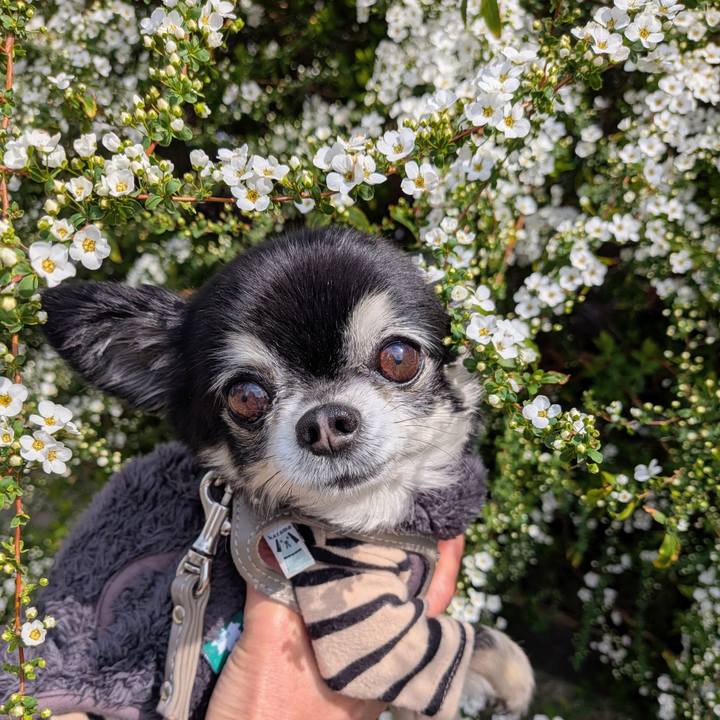 0e18f6d1 ea87 445a 9aa8 d6692d210feb 1773146457283