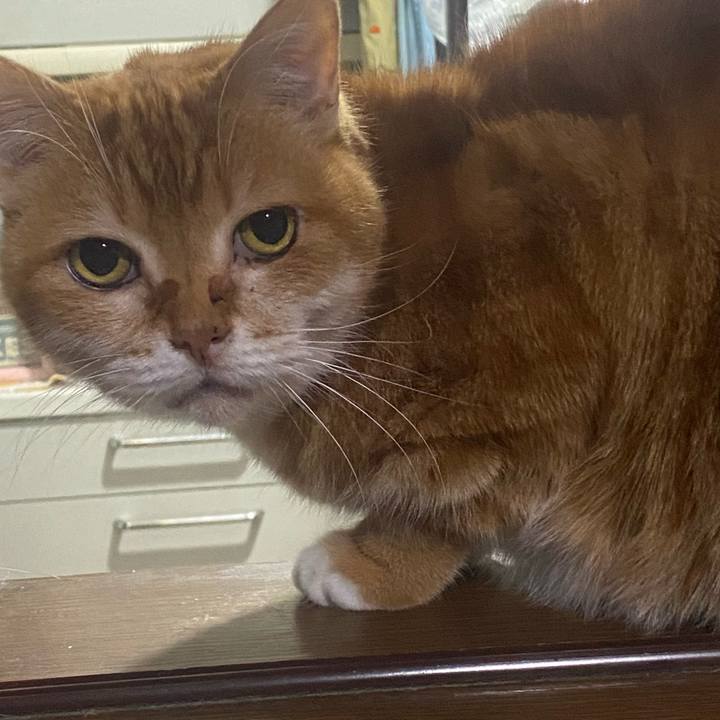 0e18fd30 b063 4339 a49d 4d9c6c8aa566 1769289223835