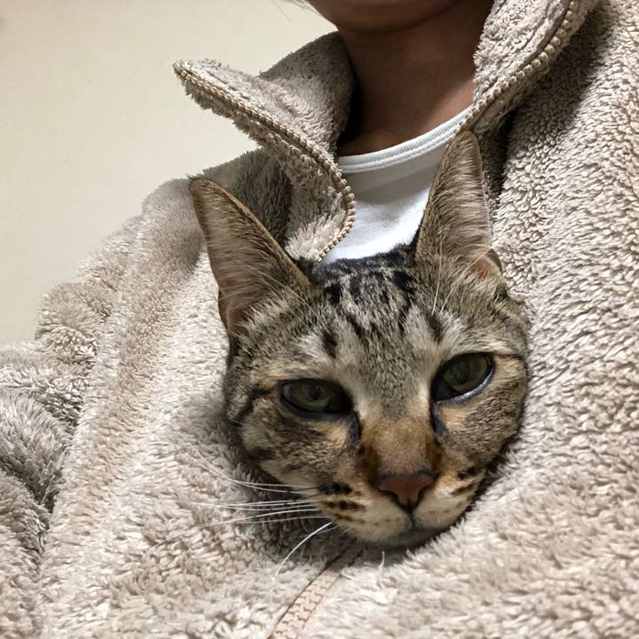 0e1924df 8c57 4e2a a868 da59ff9111bc 1550573792227