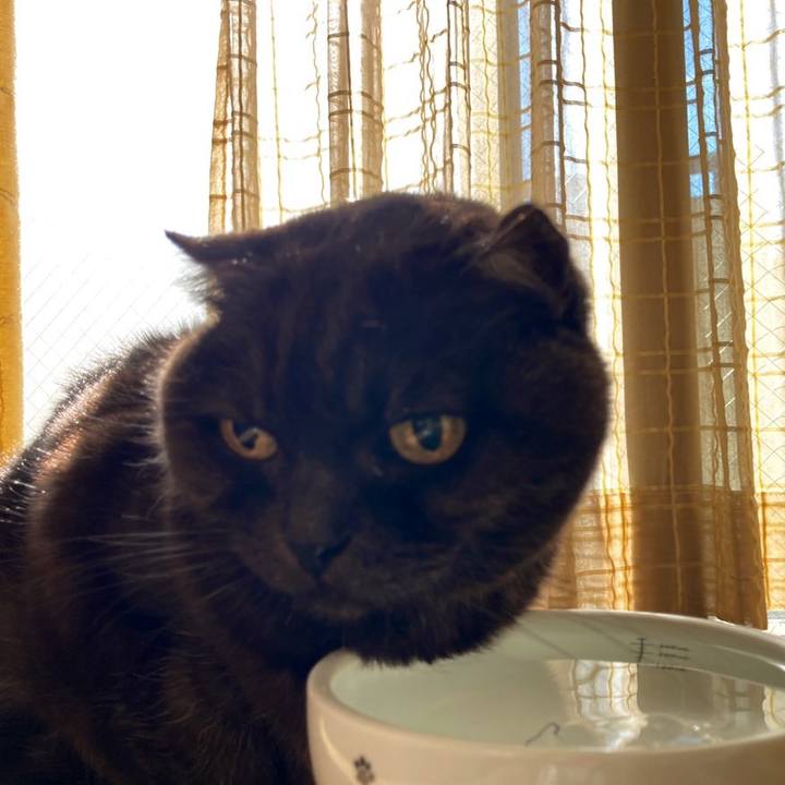 0e19615c 32e8 4f4a b29d 095081bb0843 1642737183557