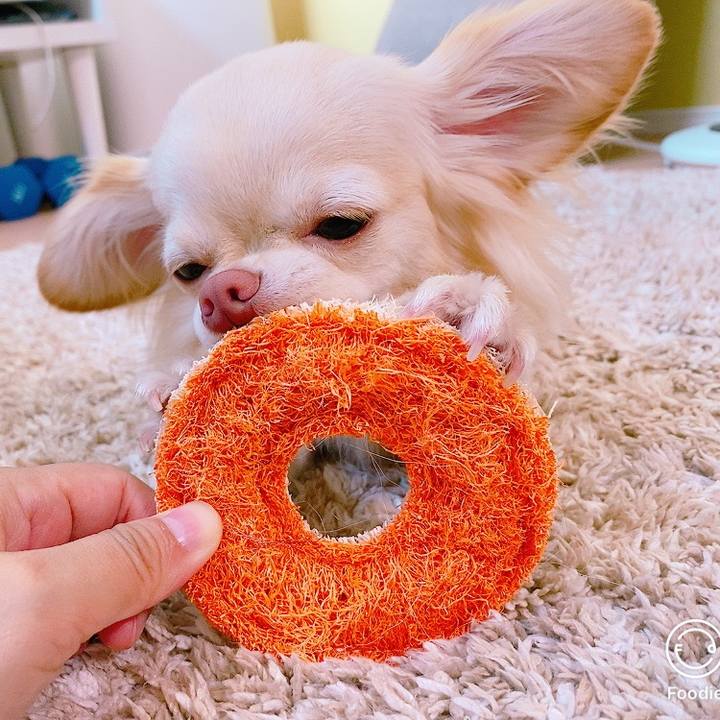 0e196bbd 165f 445c 8127 bdf8c72e58bd 1626831556618