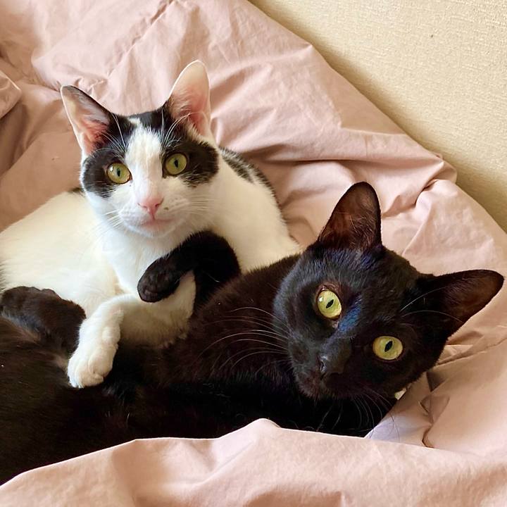 0e1989f9 0ddd 42ba 96f7 45658be4fffe 1668056574257