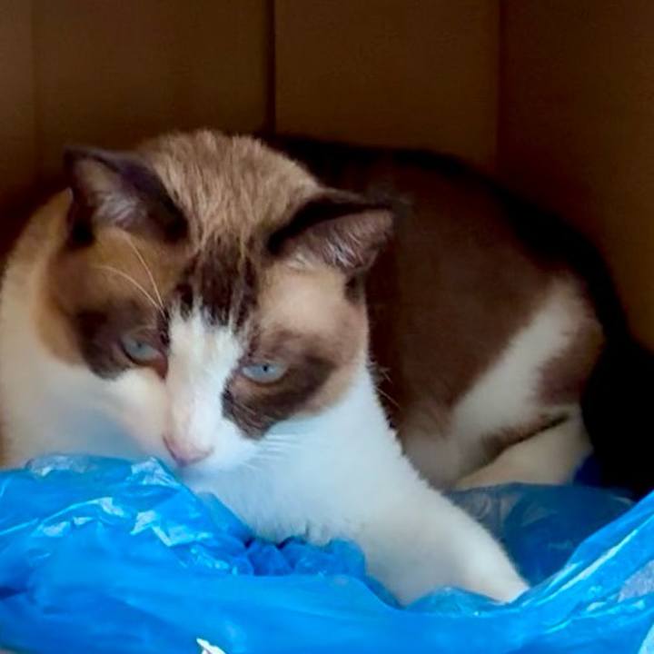 0e19afc3 43c7 41bc b58b dfc03936d256 1755999300924