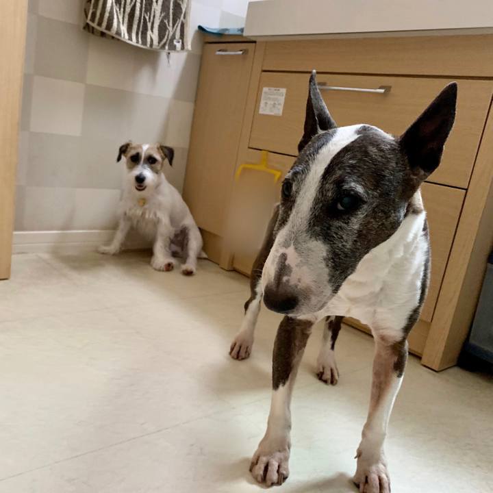 0e19efaa 1c46 4c33 907d 58eec583d9c1 1626401829634