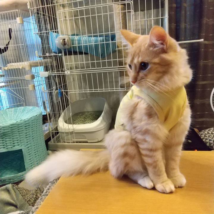 0e1a8c3e 4536 4194 9704 0c4224da09bb 1614720421012