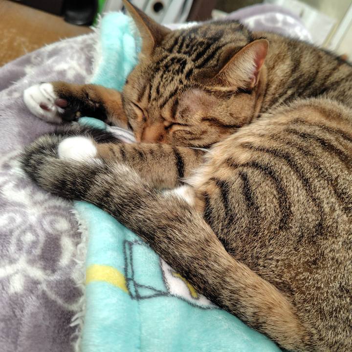 0e1abed8 0e90 478a a1ec f28e1dc43e1a 1764913307560