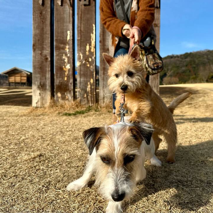 0e1b0cc5 6e60 48fd 8adc e18909072ba6 1707489617674