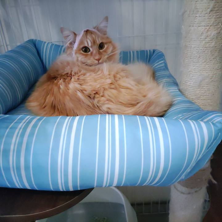 0e1b0d59 cc96 4104 8751 cf95587fcb61 1683081028324