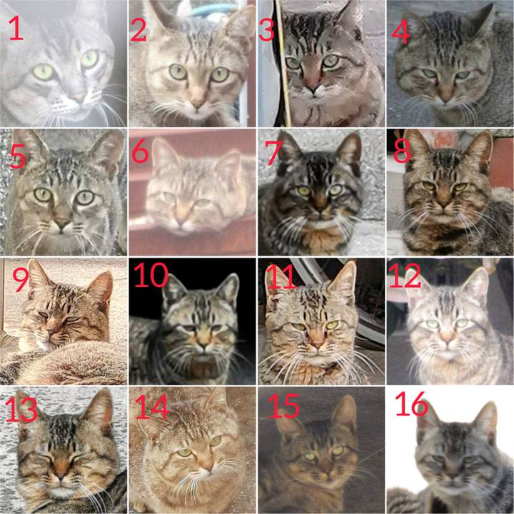 0e1b4c00 c8e7 4697 99b4 bbf599b74618 1656993210757