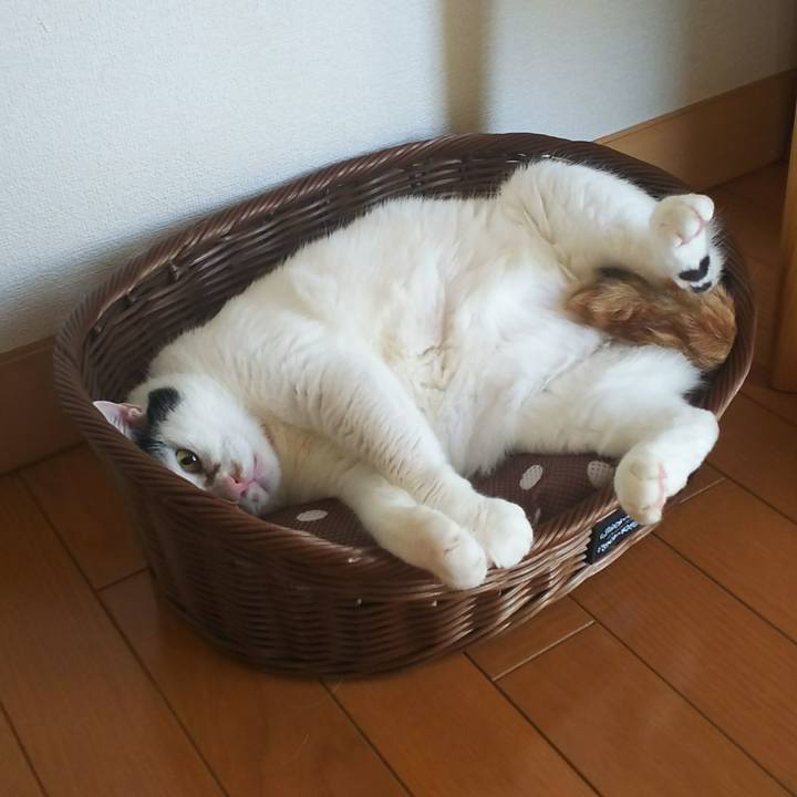 0e1b54db e698 4e33 9559 cadb1c59856f 1530574391289