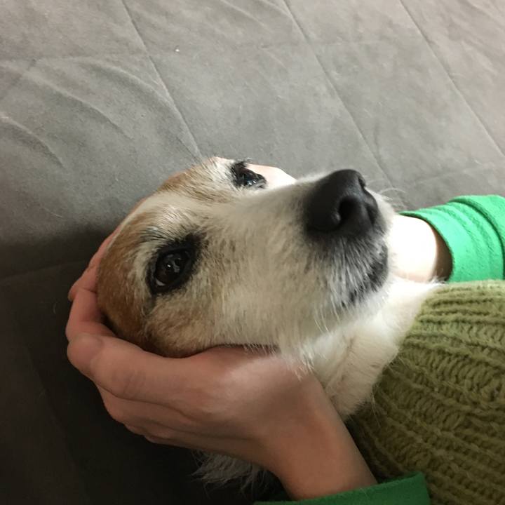 0e1b6ec0 04c0 4d34 9bd8 0840bb488dbf 1644021750865