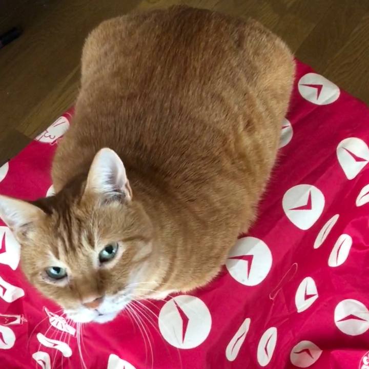 0e1b7127 6d01 41b9 8652 767cff7bc133 1700866274891