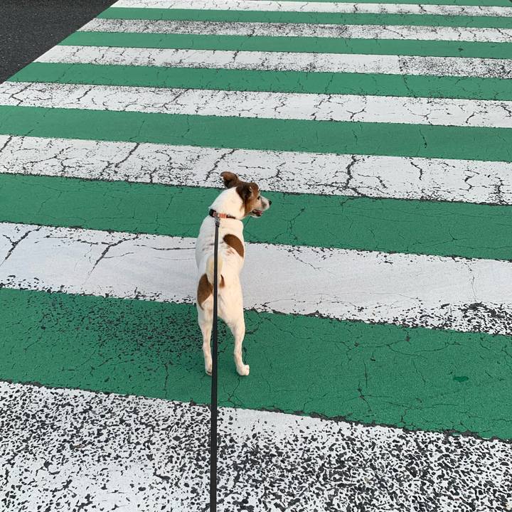 0e1b907b b8c8 48a2 b1d8 bccb0f9fc376 1595152043735