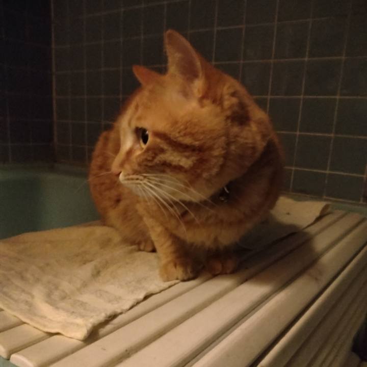 0e1bded9 c810 49a4 8f7d 013eced89882 1679822466439