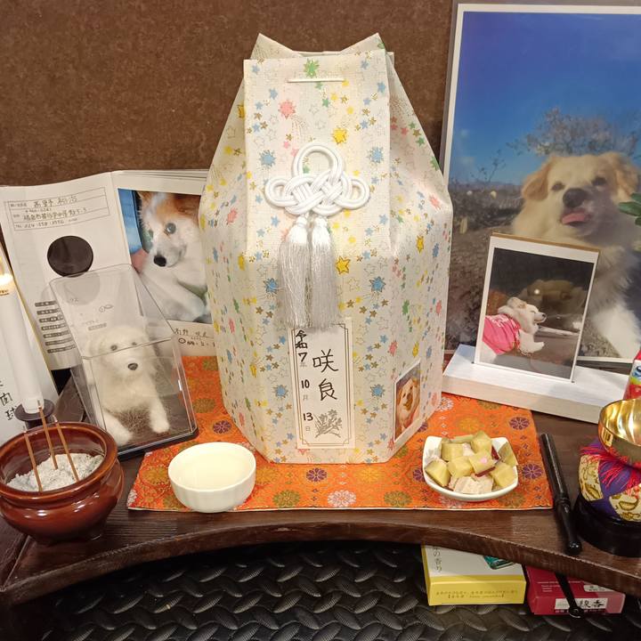 0e1bf2cd e7f0 4656 ba17 e99c79858ec1 1760520041518