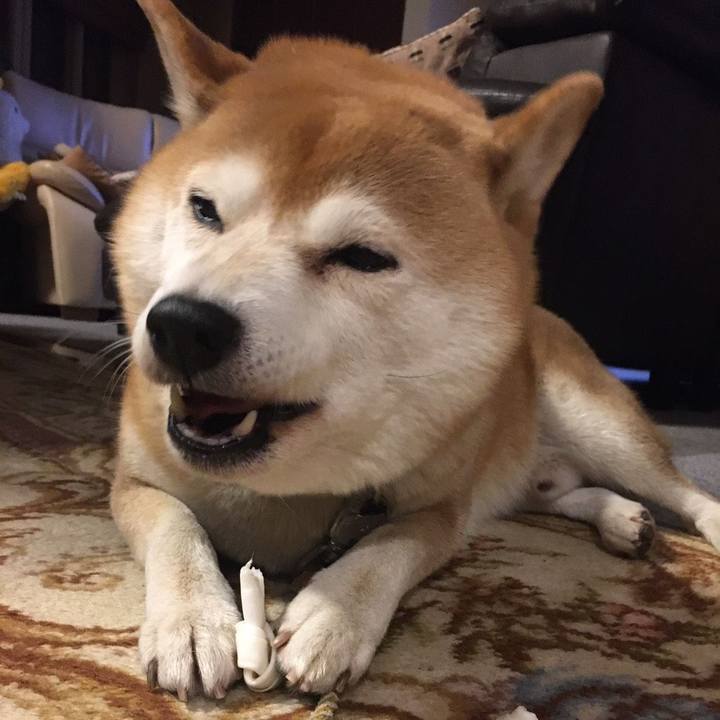 0e1bf853 a685 4507 8dab e4c83515f5c0 1574071531102