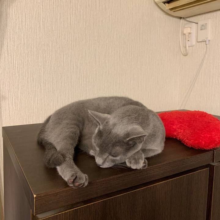 0e1bfa55 d735 45ae 8e5c 71a94d944a47 1574763097678