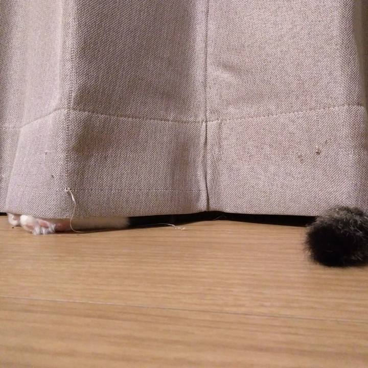 0e1c0667 401c 49ca b298 ddd1ac99125d 1532691479651