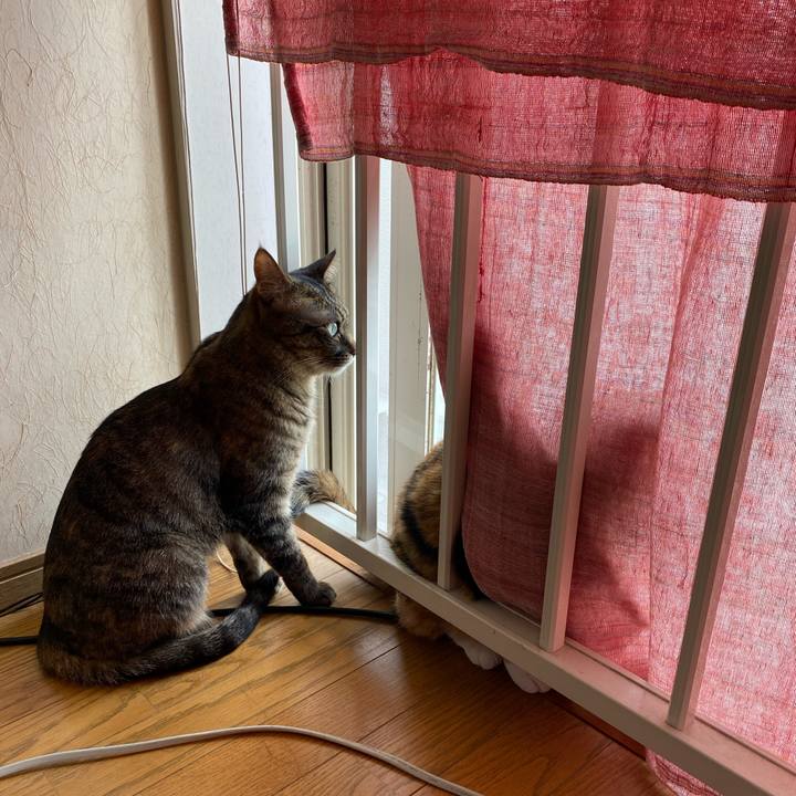 0e1c31af 9184 47bc 844e ec4c27aacb05 1624272779193