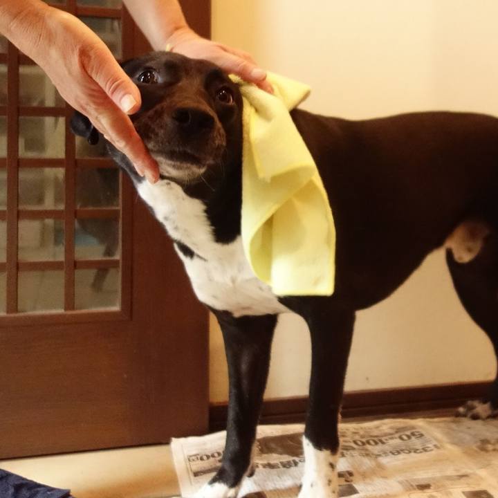 0e1c4678 82bc 4380 a424 1e0019cb677d 1622073011969