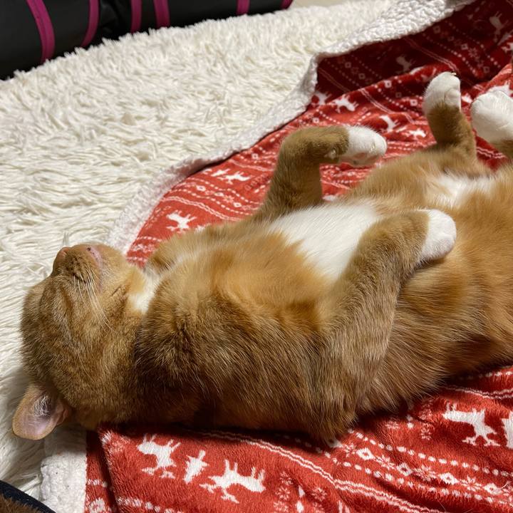 0e1c5406 20b8 4f39 a9c7 bb60ef00e330 1618663283108