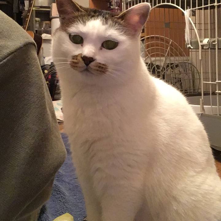 0e1c94a8 f5fe 4ccf 9601 f742e682341c 1613889496365