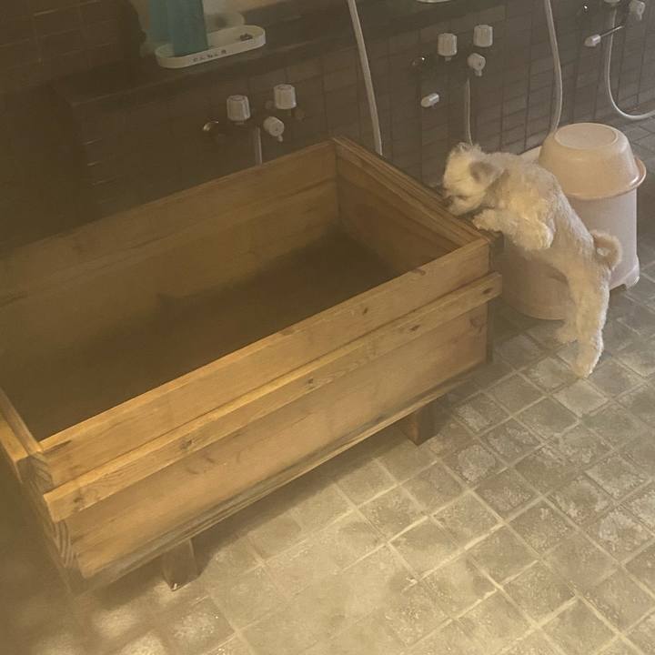 0e1cb512 ad55 4b9f 8570 a4a90e021e38 1574406370563