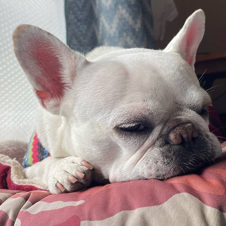 0e1cdda5 e7af 4863 96d2 9a80079defe1 1745458651519