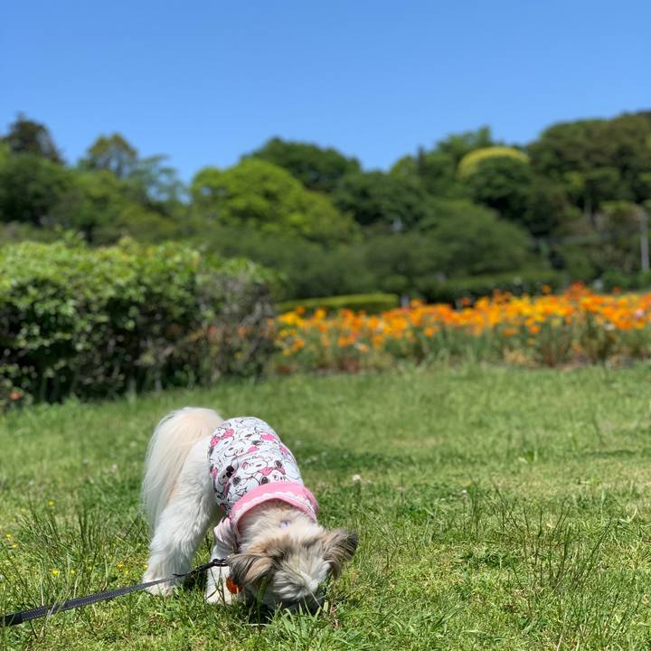 0e1d1a57 7531 4263 b1c6 e3d13b3559b4 1588926280381