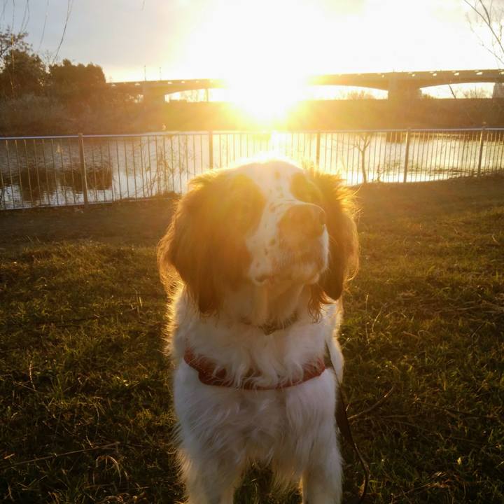 0e1d4079 2598 4e23 87e5 4b19ef7d3257 1547638327970