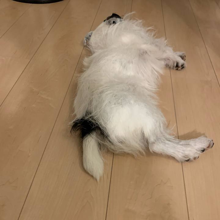 0e1d8113 b579 4bc2 8f28 2a19739b3c1c 1662639344266