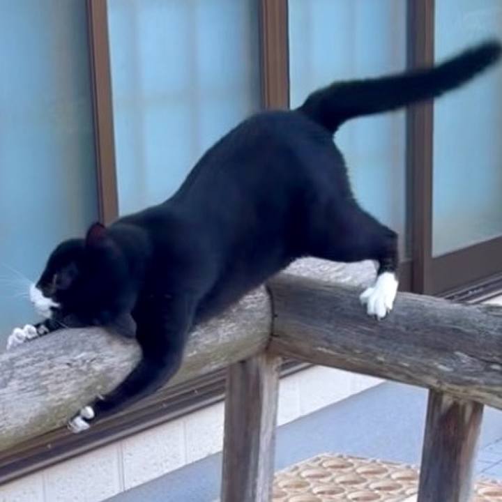 0e1d8646 c406 43f4 8d1d 04637b364627 1760948435750