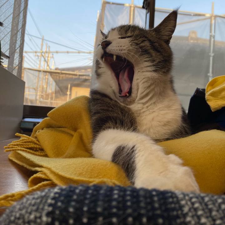 0e1d9832 12f1 487e 8a23 2f8eed09a805 1647096056490