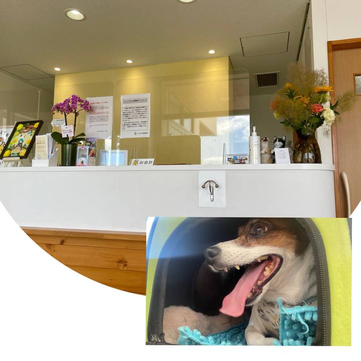 0e1df463 159e 4d81 8b14 ca3823333c8c 1715927950237